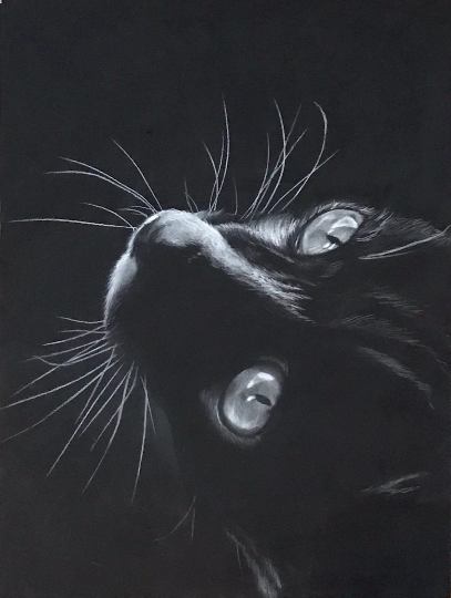 Charcoal on Black Pastel Paper