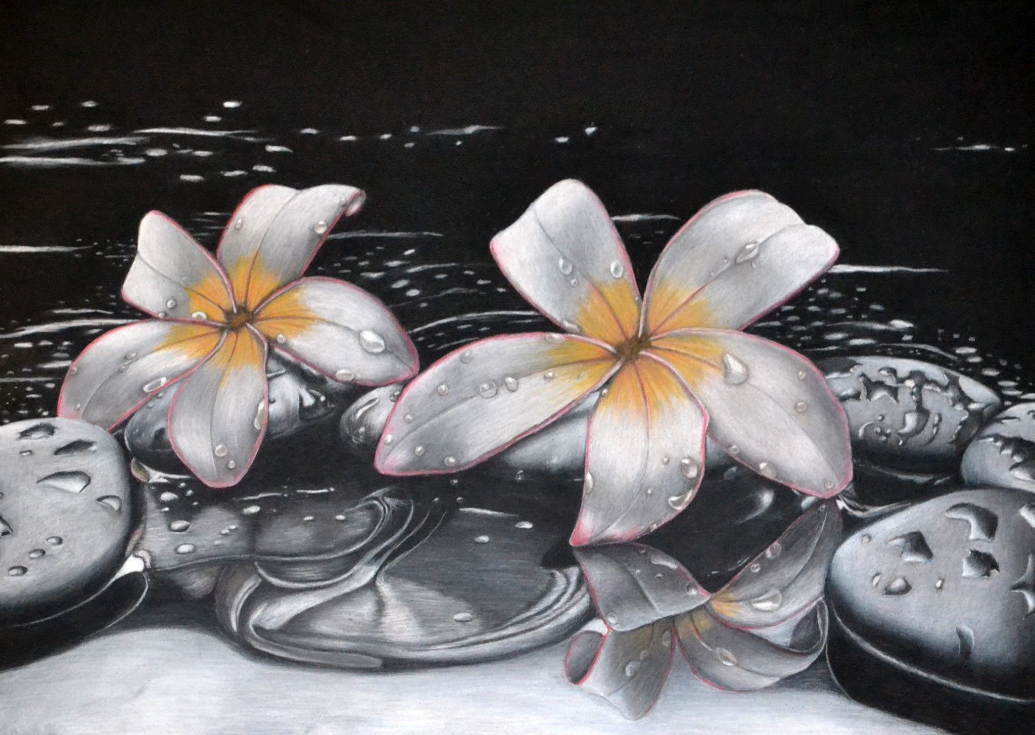 Charcoal and pastels on pastel paper